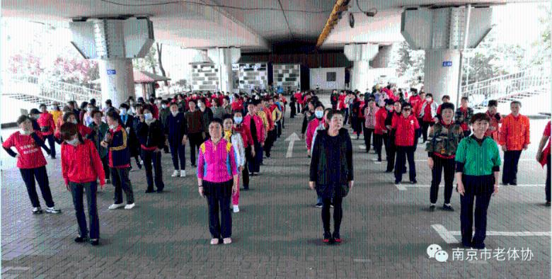 甘肃研学旅行主题线路课程集锦展示之五十三：中华一脉·如意陇原研学游